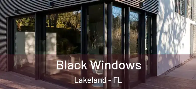 Black Windows Lakeland - FL
