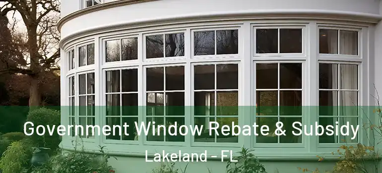 Government Window Rebate & Subsidy Lakeland - FL