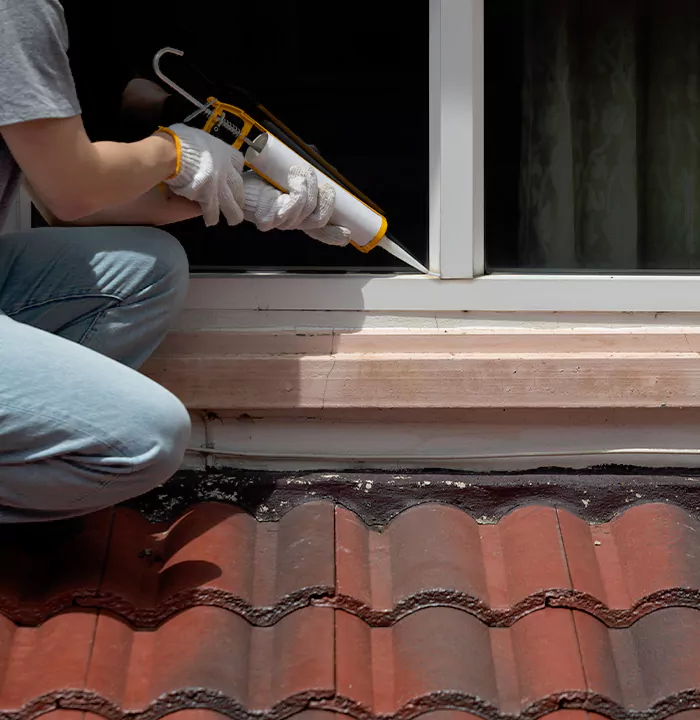 Roof Window Services in Lakeland, Florida