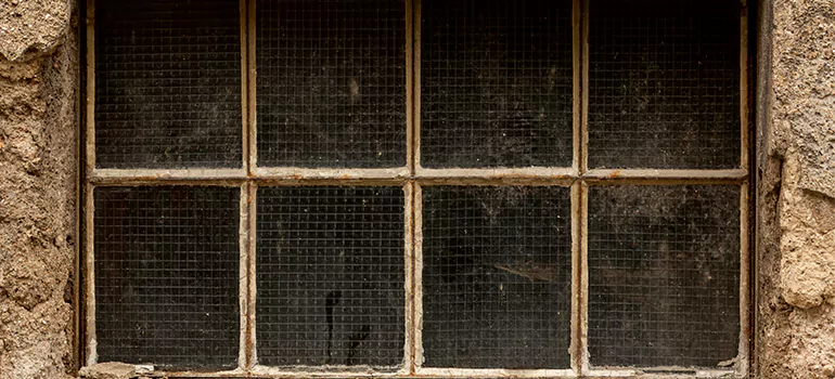 Traditional Double Front Doors in Lakeland, FL