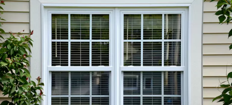 Custom Double Hung Windows in Lakeland, FL