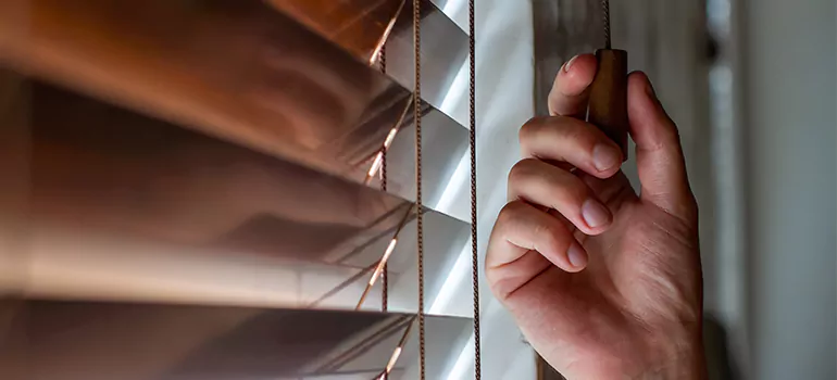 Double Roller Blinds in Lakeland, FL