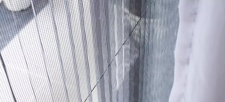 Fixing Screen Window Mesh in Lakeland, FL