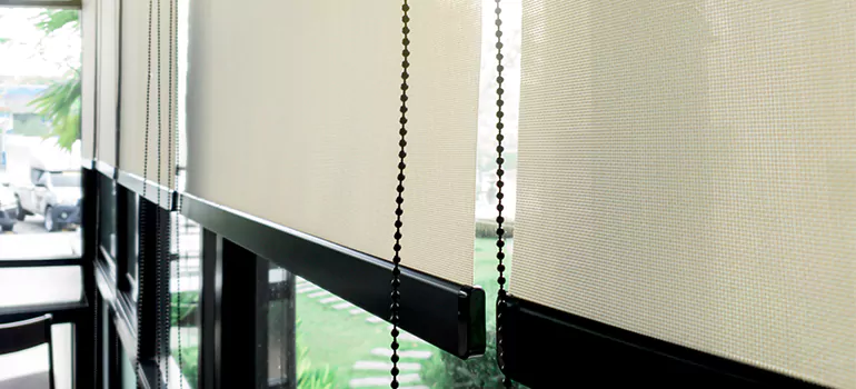 Blackout Window Shades in Lakeland, FL