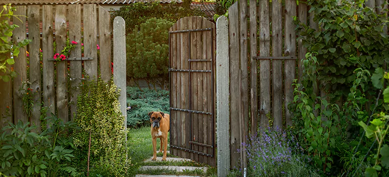 Winter Garden Garage Door Repair in Lakeland,[location field=state]
