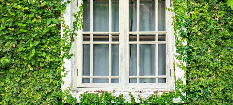 Garden Window Repair Near Me in Lakeland, FL