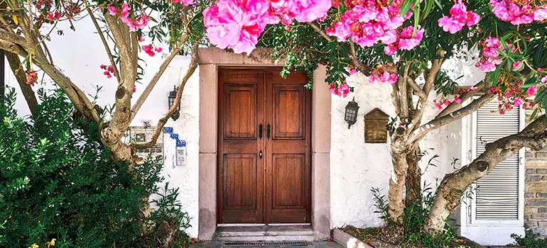 Traditional 4 Panel Internal Doors in Lakeland, FL
