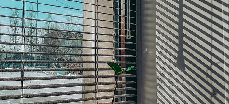 Commercial Window Blinds in Lakeland, FL