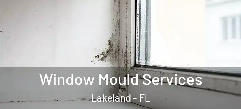 Window Mould Services Lakeland - FL